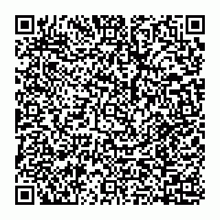 vCard 74951173463