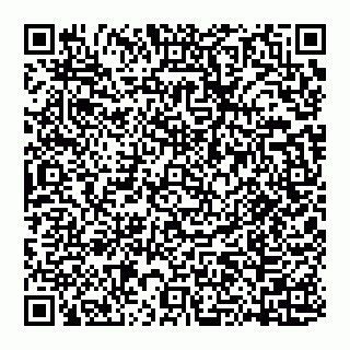 vCard 74951173628