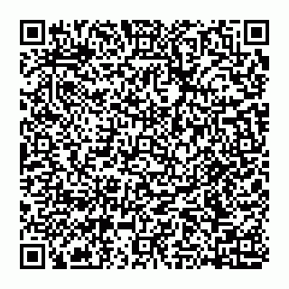 vCard 74951174537