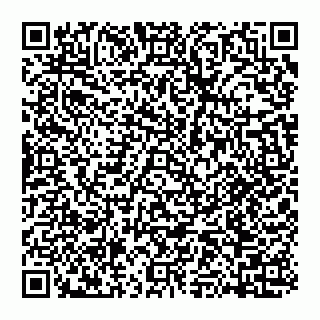 vCard 74951175296