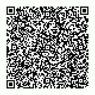 vCard 74951176275
