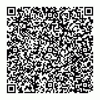 vCard 74951176276