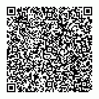 vCard 74951176385