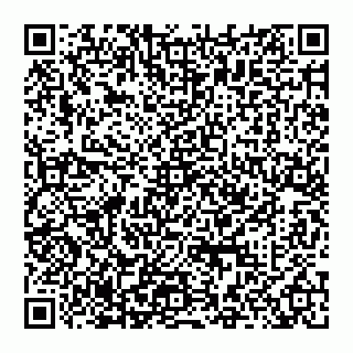 vCard 74951176523