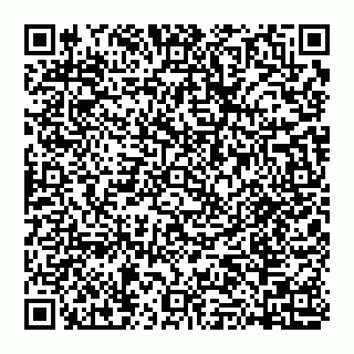 vCard 74951176531