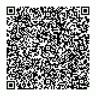 vCard 74951176534