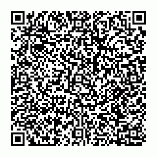 vCard 74951176537