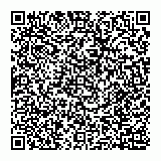 vCard 74951176581