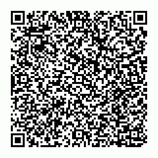 vCard 74951176753