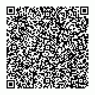 vCard 74951178379