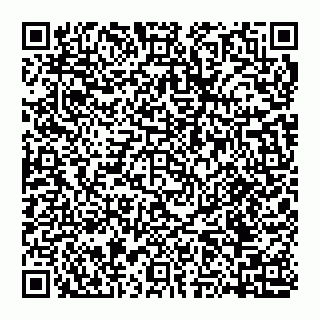 vCard 74951178535