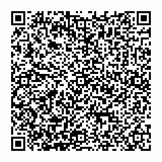 vCard 74951178538