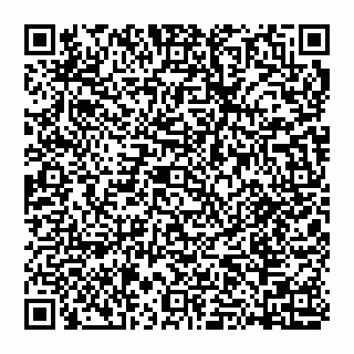 vCard 74951178541