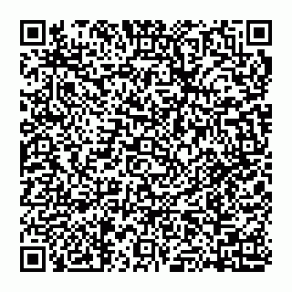 vCard 74951178542