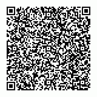 vCard 74951178546
