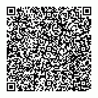 vCard 74951178653
