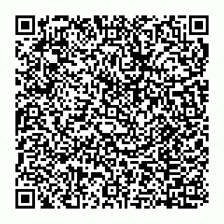 vCard 74951188219