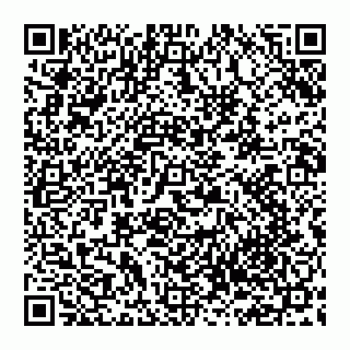vCard 74951188291