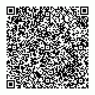 vCard 74951199011