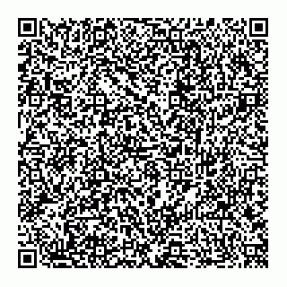vCard 74951220737