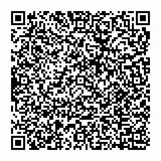 vCard 74951240179