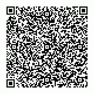 vCard 74951240231