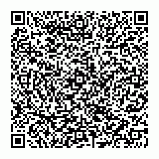 vCard 74951240379