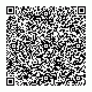 vCard 74951240384