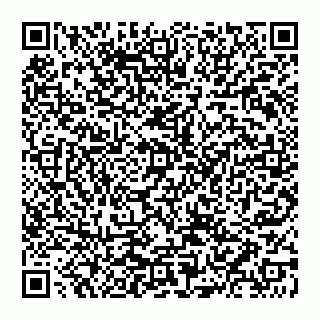 vCard 74951240386