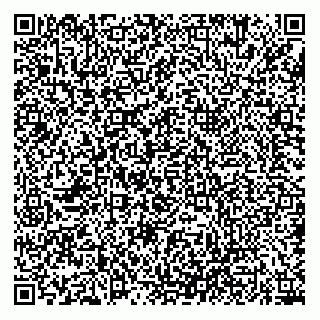 vCard 74951253131