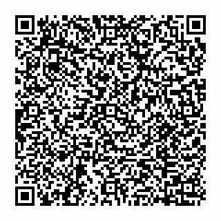 vCard 74951271039
