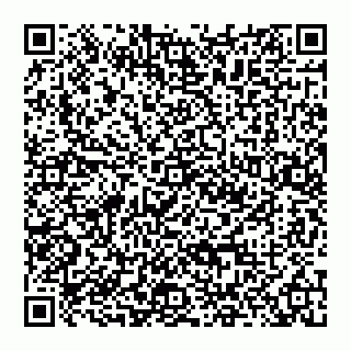 vCard 74951271127