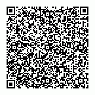 vCard 74951271313