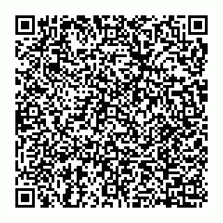 vCard 74951300080