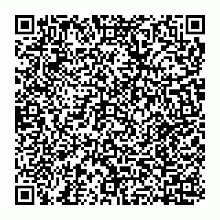 vCard 74951300213