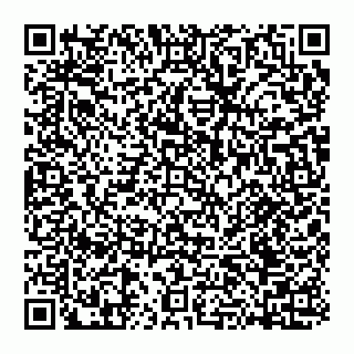 vCard 74951311245