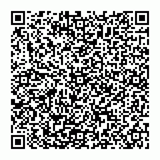 vCard 74951311250