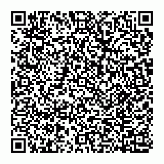 vCard 74951311509