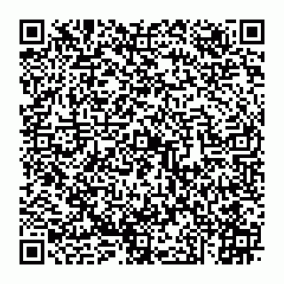 vCard 74951313049