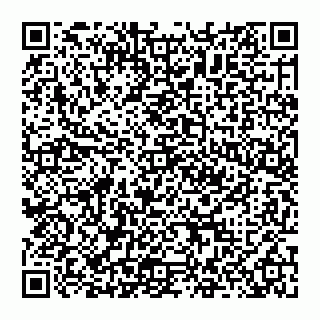 vCard 74951313051