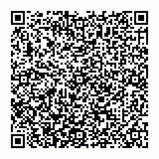 vCard 74951313053