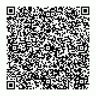 vCard 74951313231