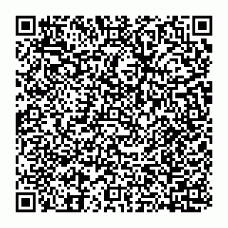 vCard 74951313250