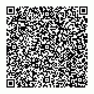 vCard 74951314158