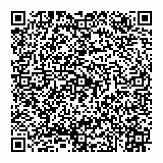 vCard 74951314188
