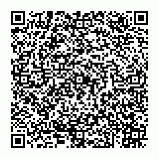 vCard 74951314203