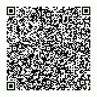 vCard 74951314211
