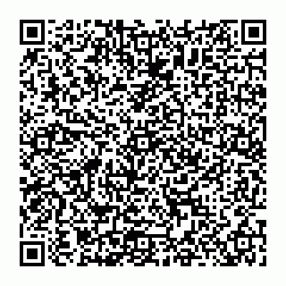 vCard 74951314219