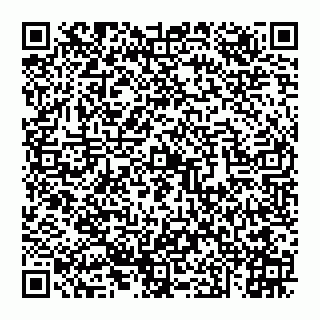 vCard 74951314229