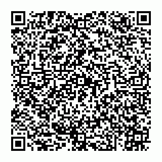 vCard 74951314235